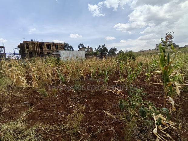 50x100 Plot for Sale in Mai-Aihii Gikambura Kikuyu Kiambu County. - thumbnail 6