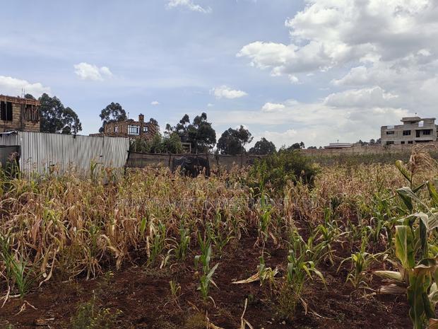50x100 Plot for Sale in Mai-Aihii Gikambura Kikuyu Kiambu County. - thumbnail 7