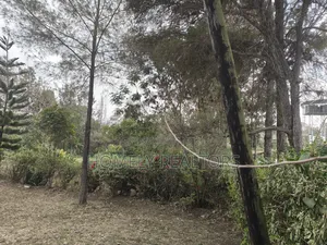 Half Acre Plot for Sale in Ngong Olkeri. Has Incomplete 2bdrm House