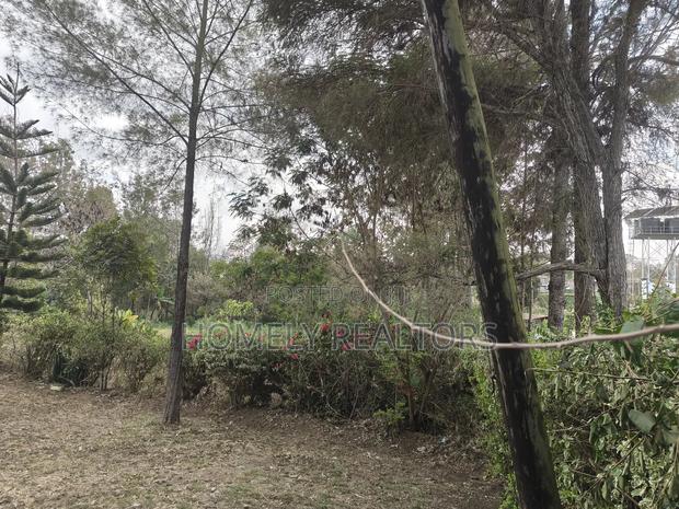 Half Acre Plot for Sale in Ngong Olkeri. Has Incomplete 2bdrm House - thumbnail 4