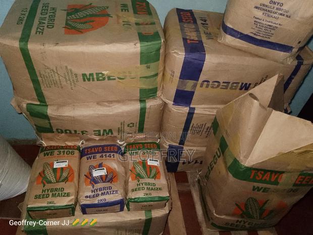 Tsavo Certified Maize Seeds - thumbnail 3