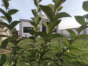 3bdrm Bungalow in Karai, Kikuyu for sale