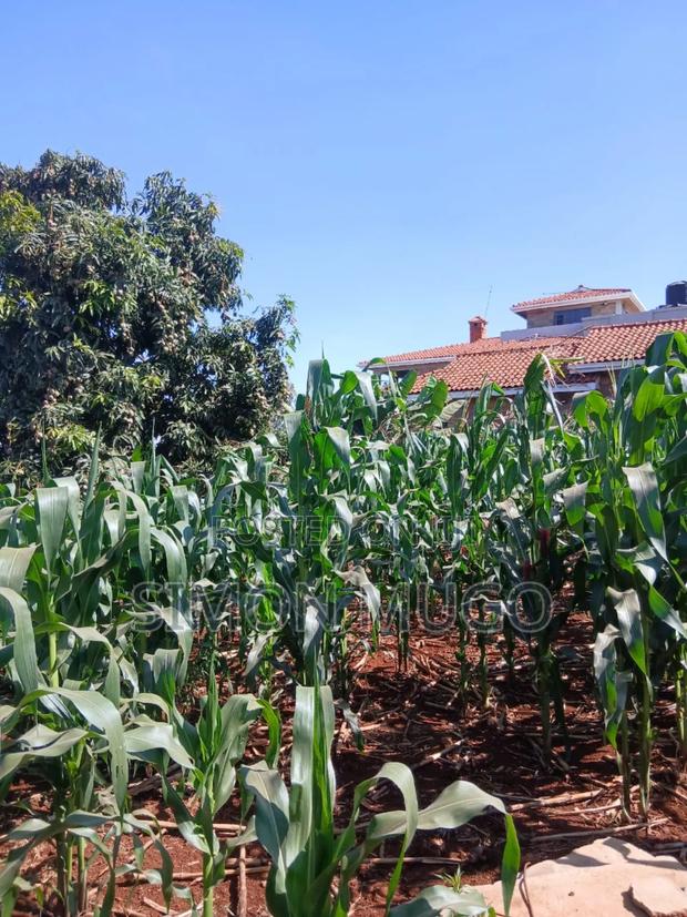 Riabai Kirigiti Kiambu Prime Residential 50x100 - thumbnail 3