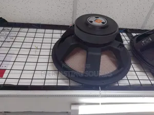 JBL 2241h 18-Inch Double Magnet