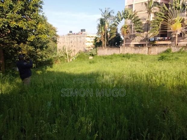 Thome Garden Estate Prime Residential 1/2 Ac With an Old Building - thumbnail 4