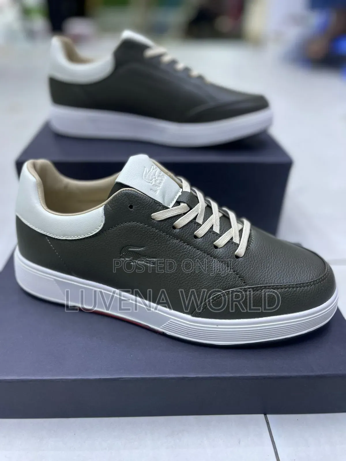 Multicoloured Lacoste Casuals