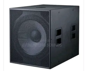 Professional Audio Subwoofer