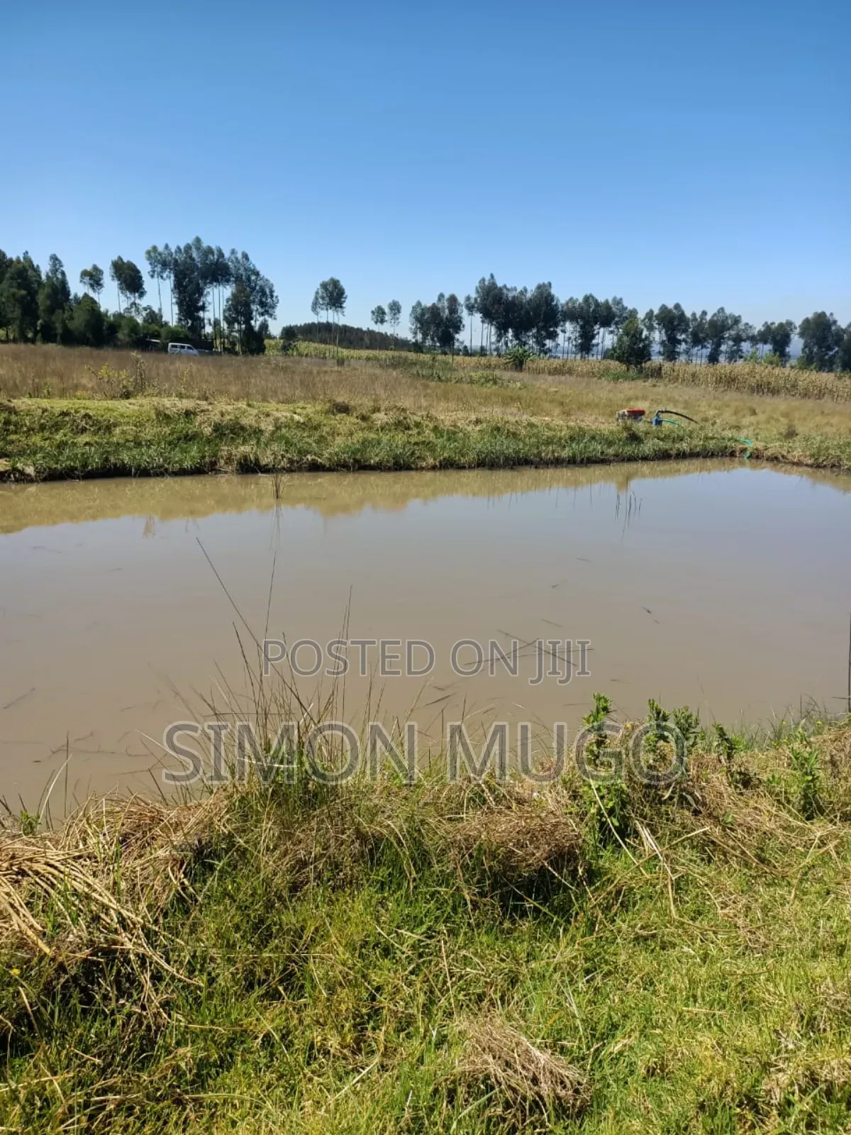 Nyahururu Prime 40 Acres Agricultural Land