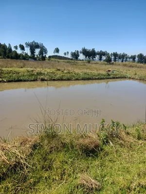 Nyahururu Prime 40 Acres Agricultural Land