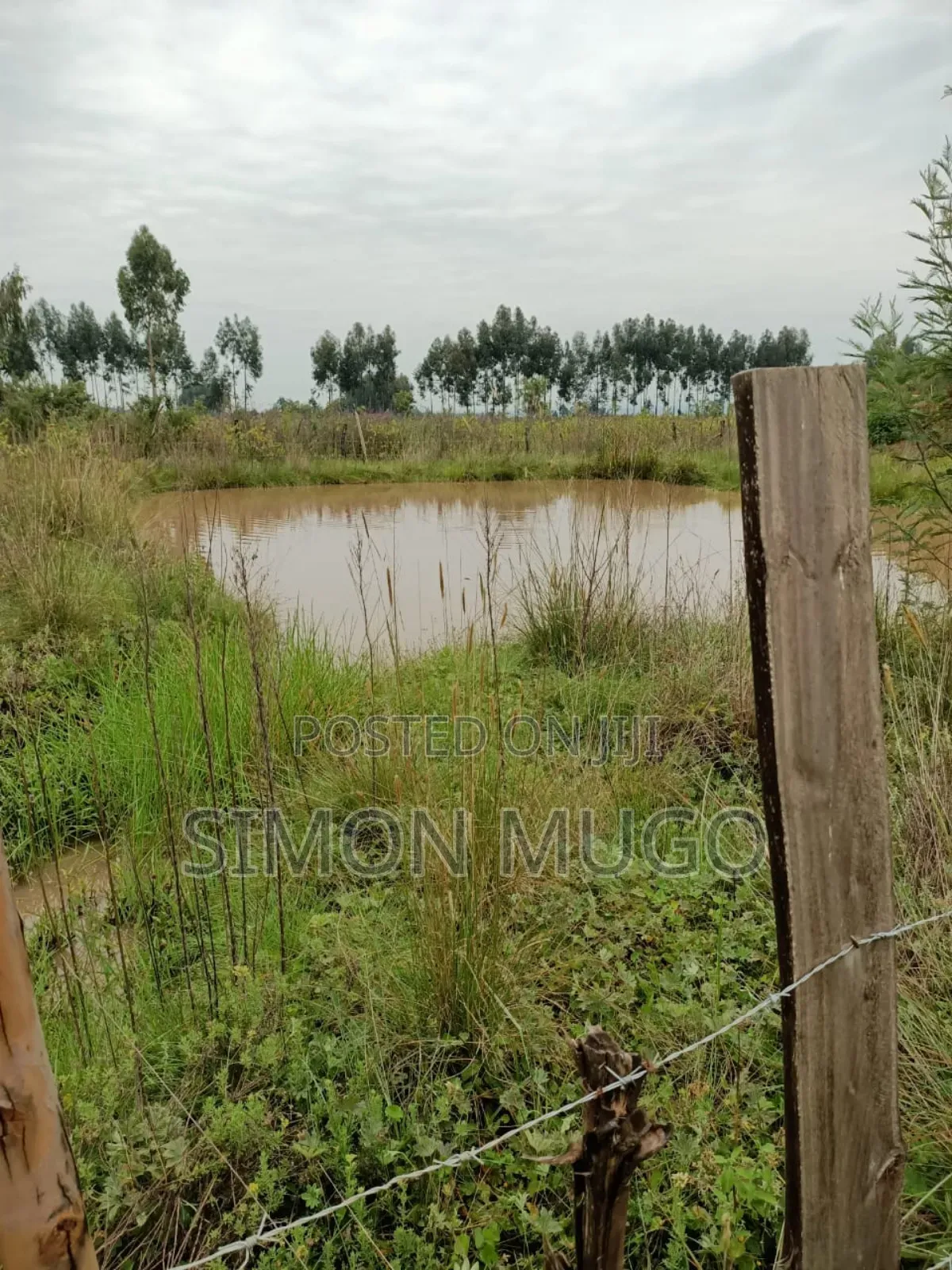 Nyahururu Prime 40 Acres Agricultural Land
