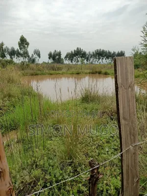Nyahururu Prime 40 Acres Agricultural Land