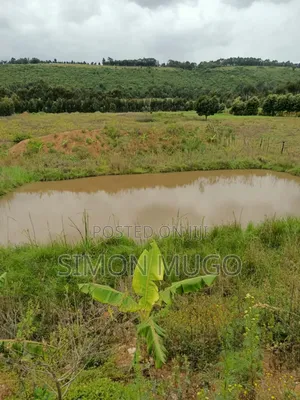 Nyahururu Prime 40 Acres Agricultural Land
