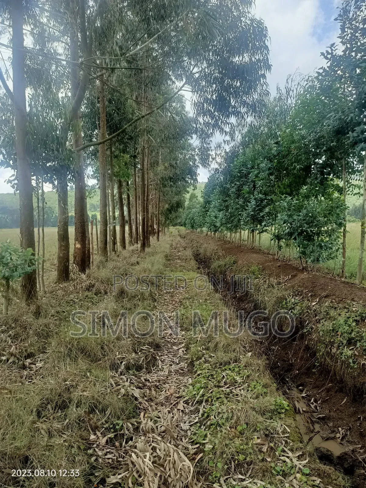 Nyahururu Prime 40 Acres Agricultural Land