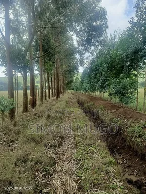 Nyahururu Prime 40 Acres Agricultural Land