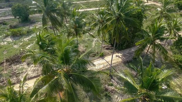 Diani Lipa Pole Pole - thumbnail 3