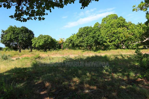 Diani Lipa Pole Pole - thumbnail 4