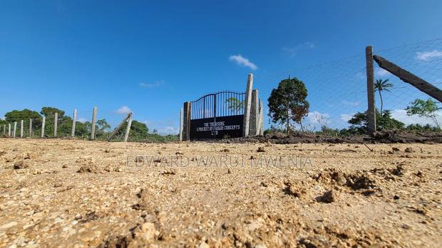 Diani Lipa Pole Pole - thumbnail 8