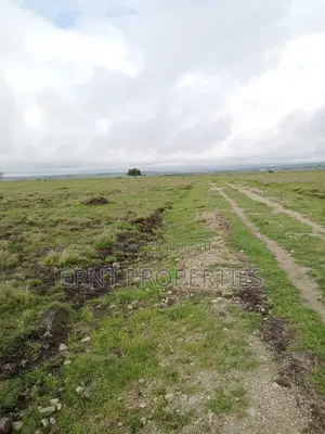 2 Adjacent Plots In Sabaki