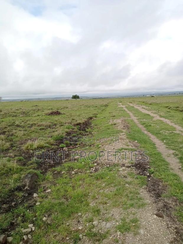 2 Adjacent Plots In Sabaki