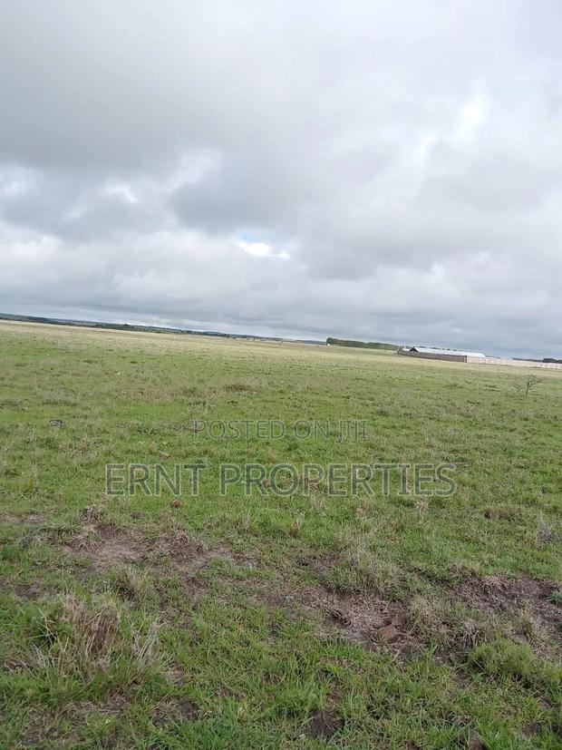 2 Adjacent Plots In Sabaki - thumbnail 4