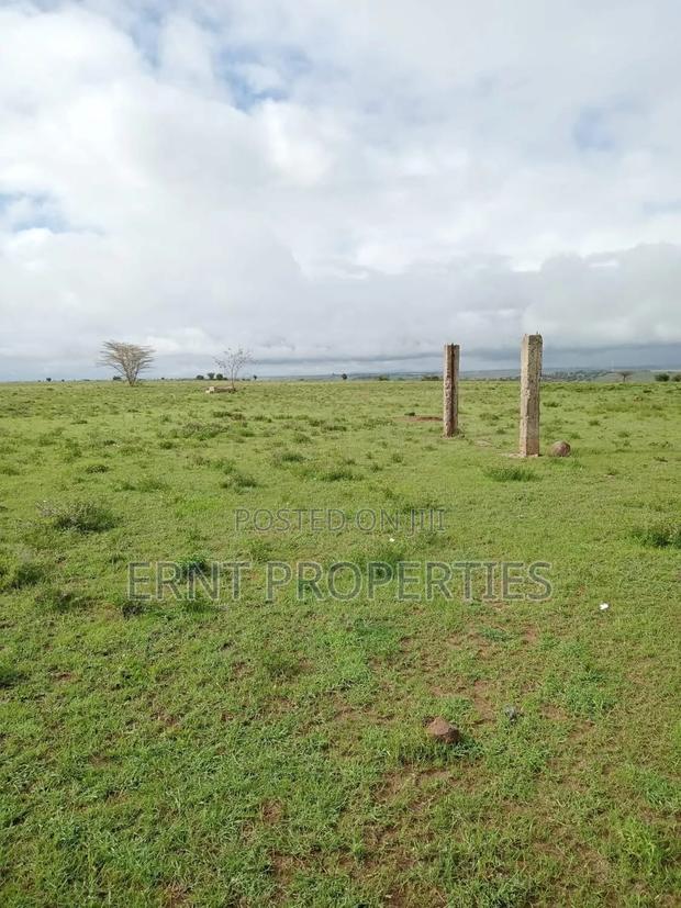 2 Adjacent Plots In Sabaki - thumbnail 2