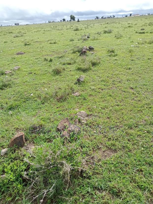 2 Adjacent Plots In Sabaki - thumbnail 3