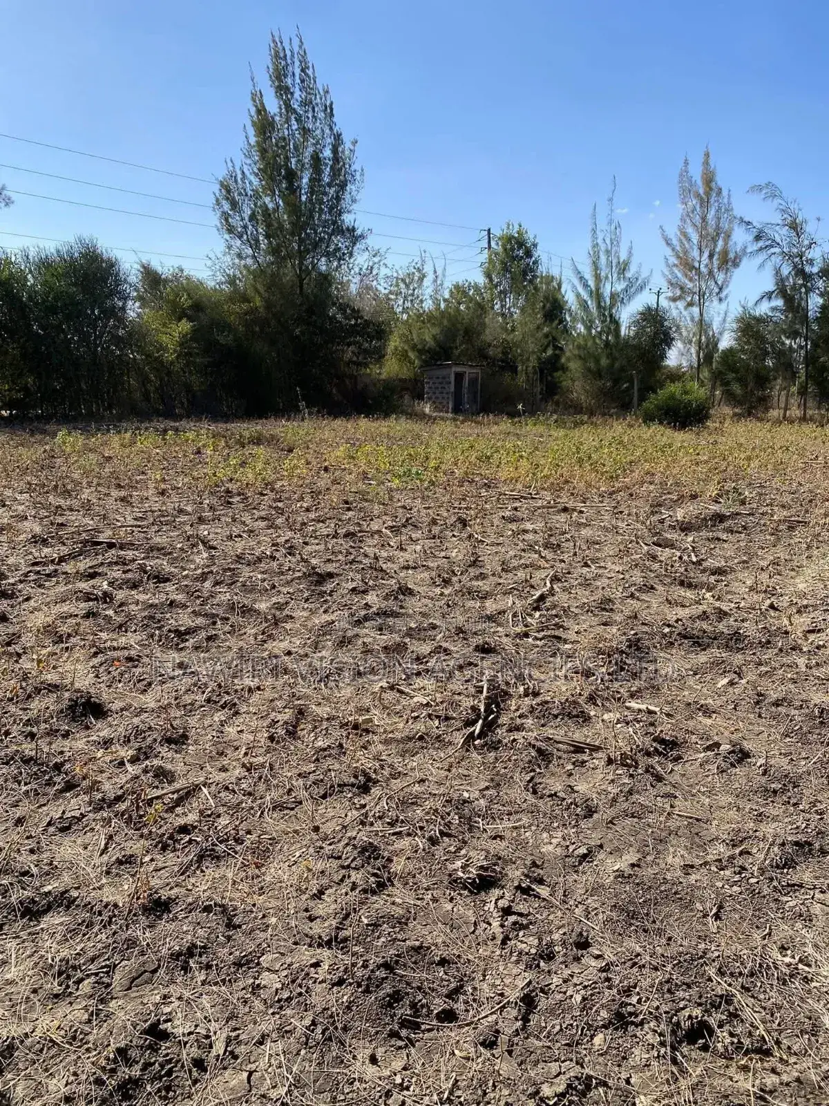 Plots for Sale in Ruai 100*100!