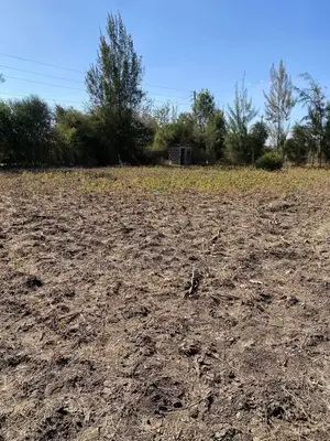 Plots for Sale in Ruai 100*100!