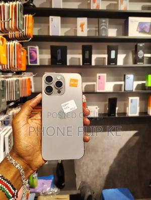 Apple iPhone 15 Pro Max 256 GB Gray - main view