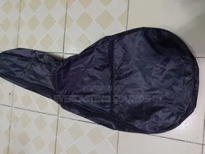 Aucostic Guitar Bag
