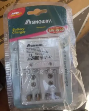 Singway Battery Recharger