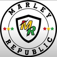 Marleyde'plug kicks logo