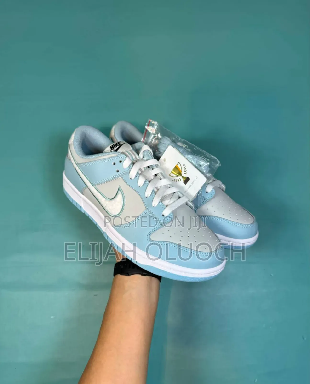 Nike Dunk Low Worn Blue