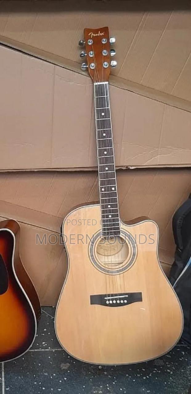 Aucostic Electric Guitar - main view