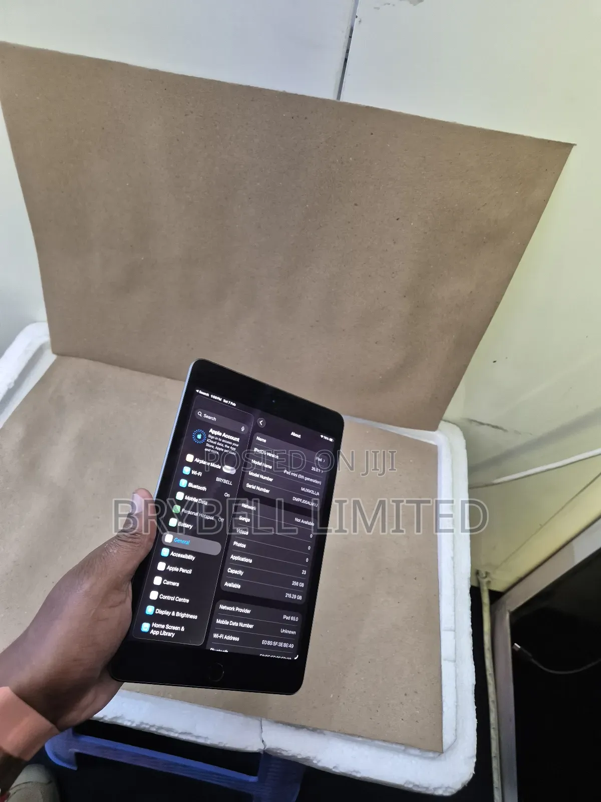 Apple iPad mini 5 256 GB Gray