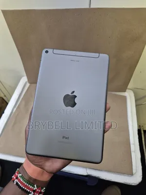 Apple iPad mini 5 256 GB Gray