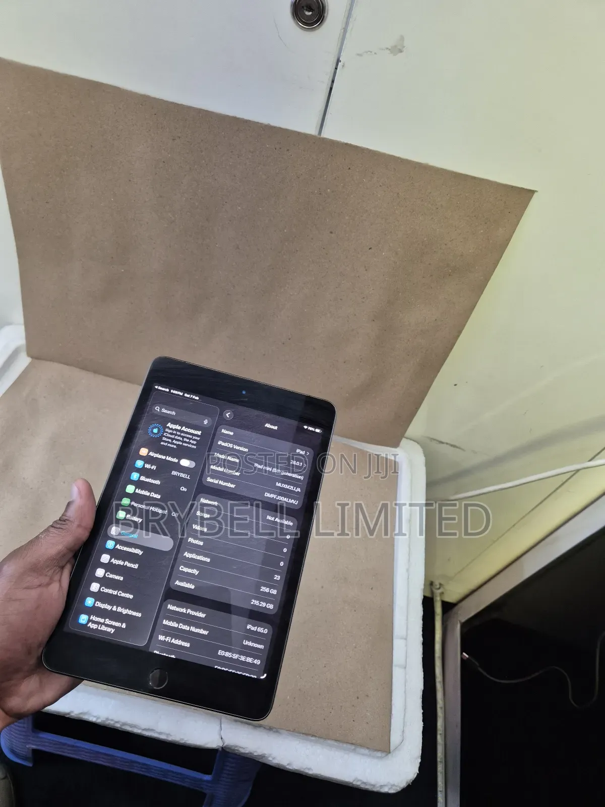 Apple iPad mini 5 256 GB Gray