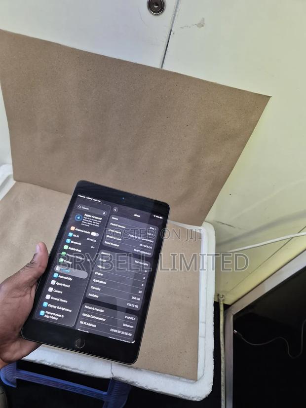 Apple iPad mini 5 256 GB Gray - thumbnail 6
