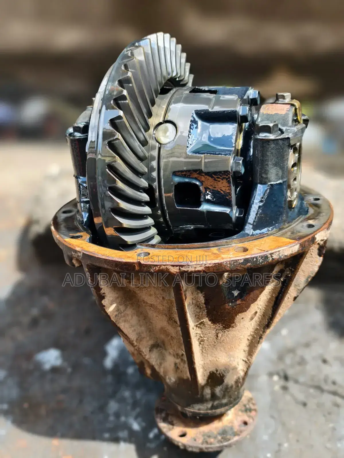 Rear Differential