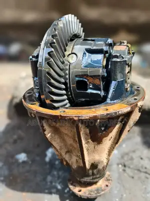 Rear Differential