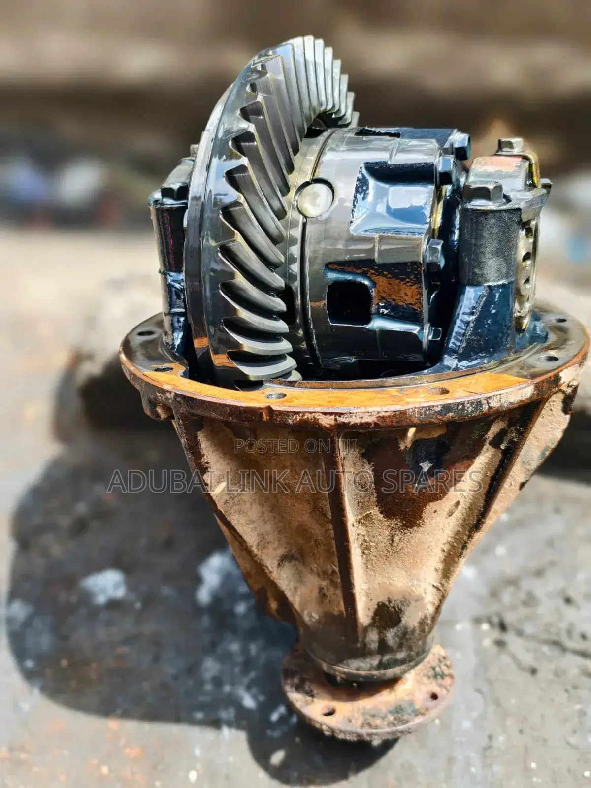 Rear Differential
