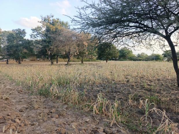 Land 2 Acre for Sale.
