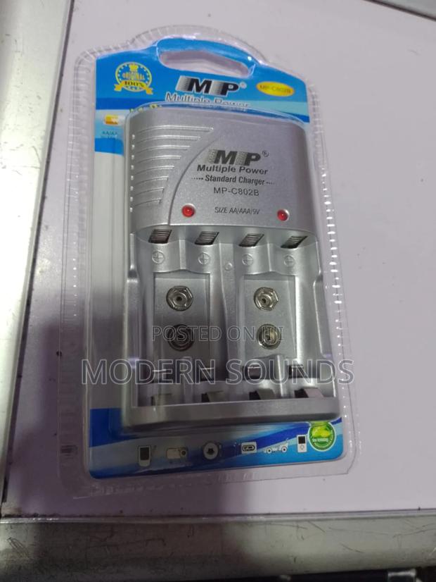 Multiple Power Standard Battery Charger - main view