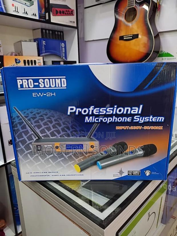 Pro Sound Professional Microphone - main view