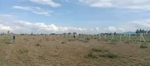 57 Acres for Sale in Karen