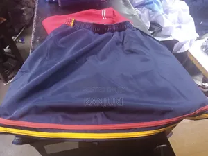 Scott Skirt Shorts and Top
