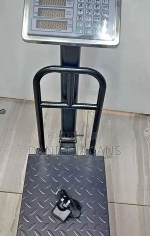 Digital Platform Weighing Scale 300kgs /Commercial Scale