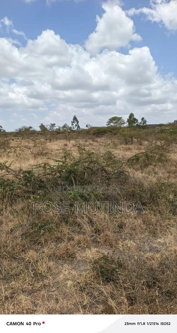 2acres at Koma - main view