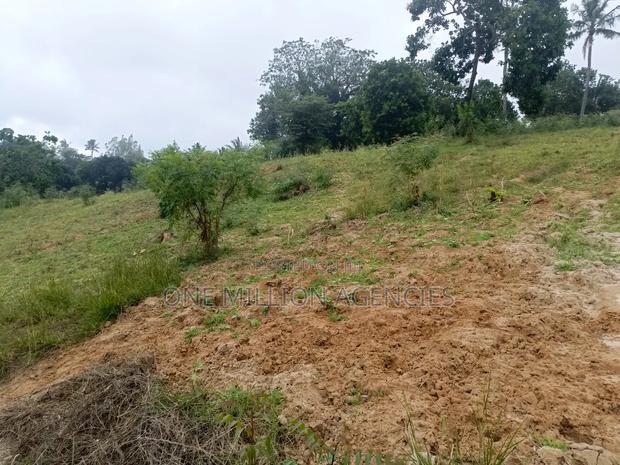 Dongo Kundu Property for Sale - thumbnail 5