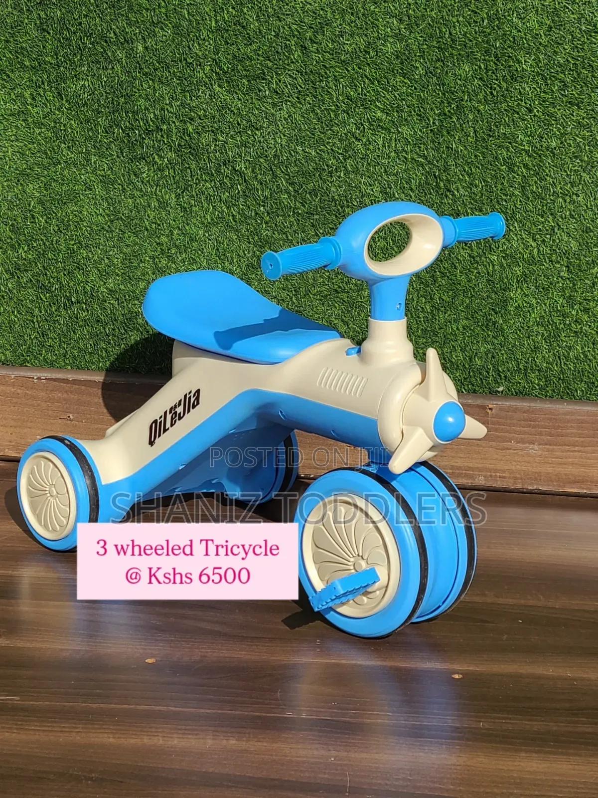Safe Ride Kids Durable Tricycle